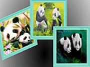 Jouer à Hungry fattest pandas puzzle