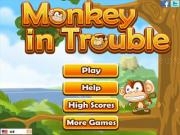 Jouer à Monkey in trouble
