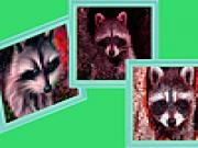 Jouer à Angry raccoons puzzle
