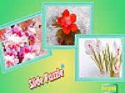 Jouer à Winter flowers garden puzzle