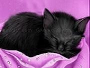 Jouer à Black sleepy cat slide puzzle
