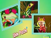 Jouer à Mountain frogs puzzle