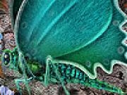 Jouer à Green garden butterfly slide puzzle