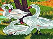 Jouer à Beautiful swans slide puzzle