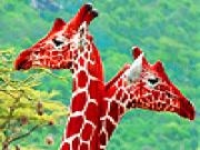 Jouer à Lovely giraffes in the garden puzzle