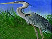 Jouer à Heron in the reeds slide puzzle
