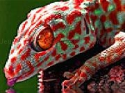 Jouer à Thirsty red gecko puzzle