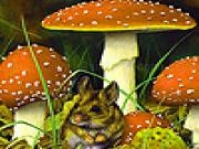 Jouer à Mushroom garden puzzle