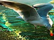 Jouer à Seagulls in the ocean puzzle