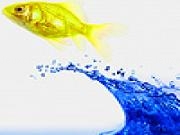 Jouer à Little fish and blue sea puzzle