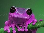 Jouer à Purple acrobat frog slide puzzle