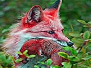 Jouer à Secret red fox slide puzzle