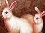 Jouer &agrave; Naughty friends slide puzzle