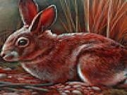 Jouer à Red tame rabbits puzzle