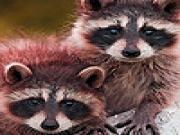Jouer à Raccoon brothers puzzle