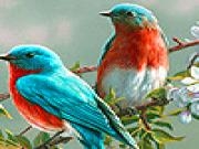 Jouer à Colorful brooding birds puzzle
