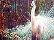 Jouer à White beauty slide puzzle