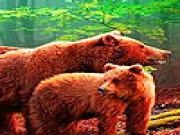 Jouer à Hungry grizzly bears puzzle