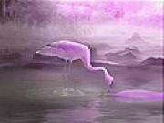 Jouer à Thirsty flamingo slide puzzle