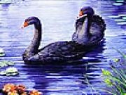 Jouer à Black swans and river slide puzzle