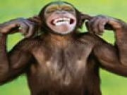 Jouer à Funny monkey