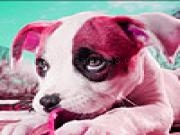 Jouer &agrave; Summer garden dogs puzzle