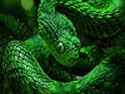 Jouer à Green copperhead puzzle