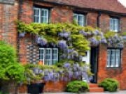 Jouer à Jigsaw: wisteria covered house