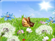 Jouer à Spring colors find numbers