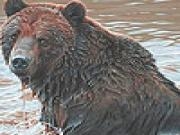 Jouer à Dun bear in the lake puzzle