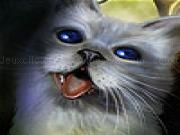 Jouer à Lonely domestic cat slide puzzle