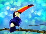 Jouer à Colored beaked bird slide puzzle