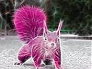 Jouer à Pink field squirrel slide puzzle