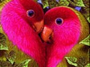 Jouer à Two lovebirds slide puzzle
