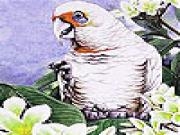 Jouer à Alone parrot and flowers slide puzzle