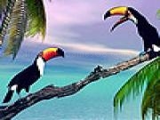 Jouer à Two toucan in the sea slide puzzle