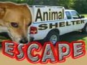 Jouer à Animal shelter escape