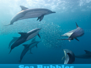 Jouer à Sea bubbles 5 differences
