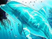 Jouer à Green dolphin puzzle