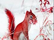 Jouer à Red squirrel in the snow slide puzzle