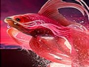 Jouer &agrave; Nice fantastic fish coloring