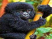 Jouer à Black baby gorilla slide puzzle