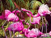 Jouer à Tropical flamingos slide puzzle