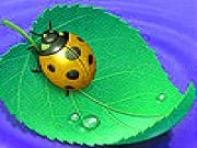 Jouer &agrave; Ladybug on the leaf slide puzzle
