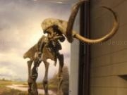 Jouer à Fossil mammoth slider