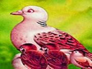 Jouer &agrave; Seagull family slide puzzle