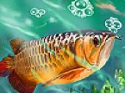 Jouer à Deep sea tropical fish slide puzzle