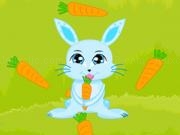 Jouer à Bunny crazy time