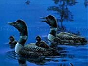 Jouer à Black ducks in the lake slide puzzle