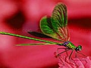 Jouer &agrave; Fly on the red leaf puzzle